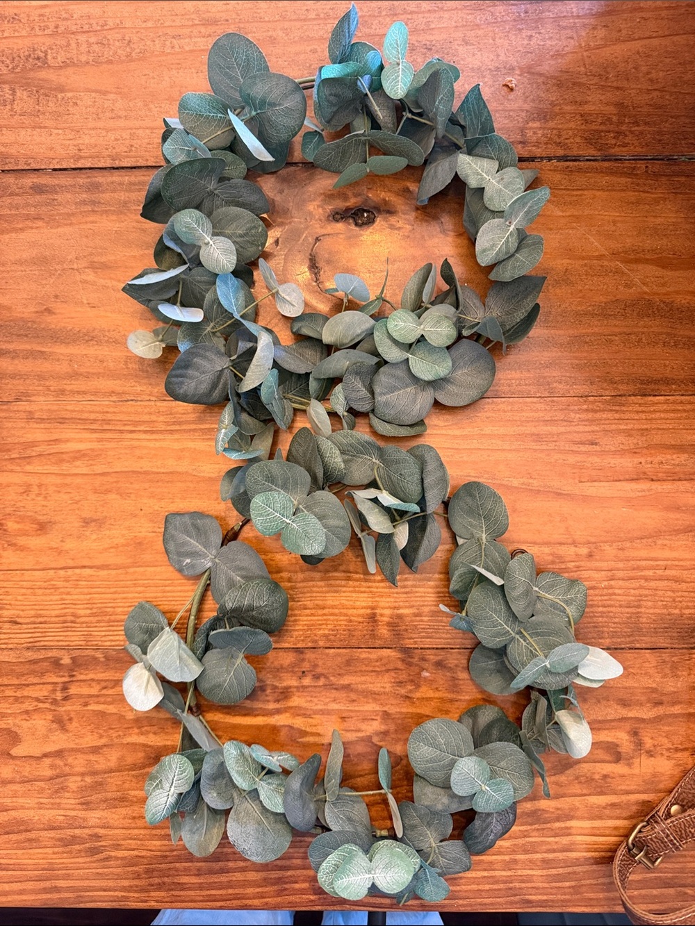 Eucalyptus Leaf wreaths (2 total, 10 inches)